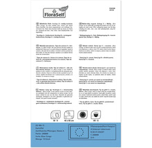 Informationen zu Blue Congo Kartoffeln