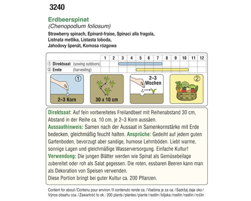 Anleitung für Erdbeerspinat mit Informationen zu Aussaat und Ernte