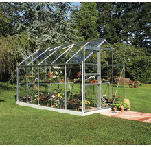 Gewächshaus mit Pflanzen im Garten