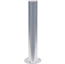 Edelstahlpoller Ø 204 mm geschliffen mit Flachkopf ortsfest