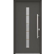 Haustür mit Glaseinsatz und Stangengriff
