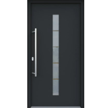 Haustür mit Glaseinsatz und Stangengriff