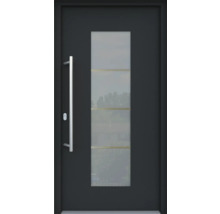 Moderne Haustür mit Glasausschnitt und Griff