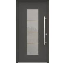 Haustür mit Glaseinsatz und Edelstahlgriff