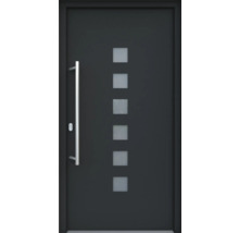 Haustür mit Glaseinsätzen und Griff