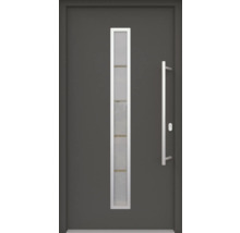 Haustür mit Glaseinsatz und Edelstahlgriff