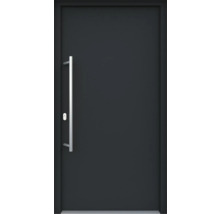 Haustür mit Griff