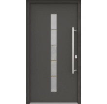 Graue Haustür mit Glaseinsatz und Griff