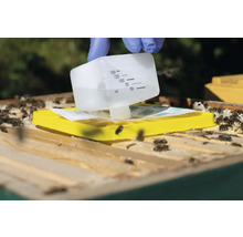 Imker behandelt Bienen mit Messbecher auf Bienenstock