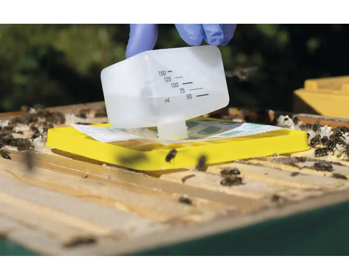 Imker behandelt Bienen mit Messbecher auf Bienenstock