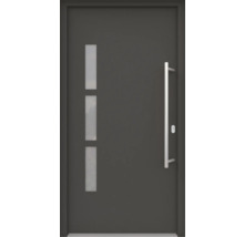Haustür mit Glaseinsätzen und Stangengriff