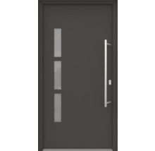 Haustür mit drei Lichtausschnitten und Stangengriff