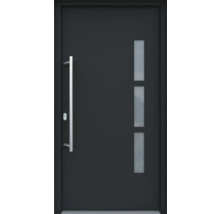 Moderne Haustür mit Fenster und Griff
