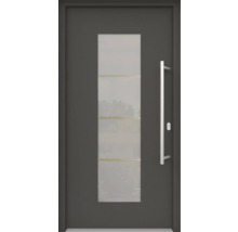 Haustür mit Glaseinsatz und Edelstahlgriff