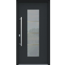 Moderne Haustür mit Glaseinsatz und Griffstange