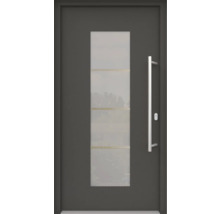 Haustür mit Glaseinsatz und Edelstahlgriff