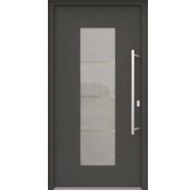 Haustür mit Glaseinsatz und Edelstahlgriff