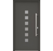 Graue Haustür mit Glaseinsätzen und Stangengriff