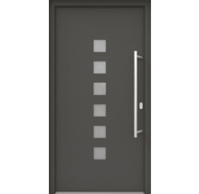Moderne Haustür mit Glaseinsätzen und Griff