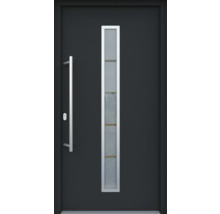 Moderne Haustür mit Glaseinsatz und Edelstahlgriff