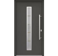 Haustür mit Glaseinsatz und Stangengriff