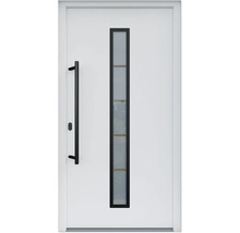 Haustür mit Glaseinsatz und Griffstange