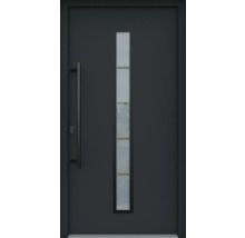 Moderne Haustür mit Glasausschnitt und Griffstange