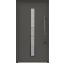 Graue Haustür mit Glaseinsatz und Griff