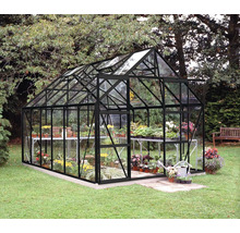 Gewächshaus aus Glas und Metall mit Pflanzen auf Regalen im Garten.