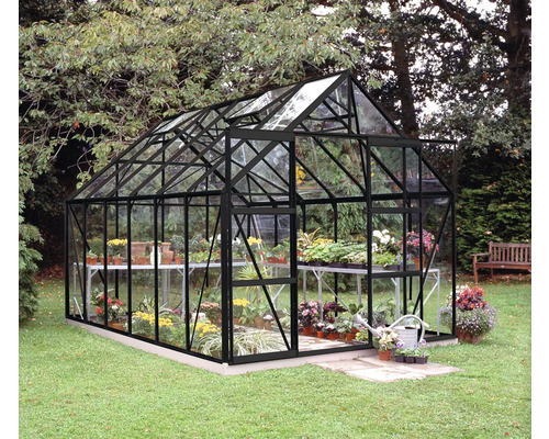 Gewächshaus aus Glas und Metall mit Pflanzen auf Regalen im Garten.