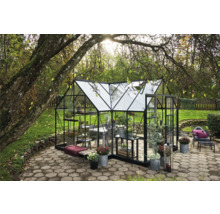 Gewächshaus mit Pflanzen auf einer gepflasterten Fläche im Garten.