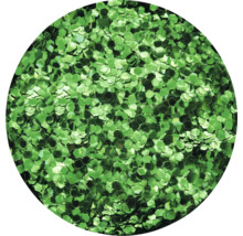 Grüner Glitzer in hexagonaler Form