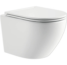 Wand-Tiefspül-WC mit WC-Sitz