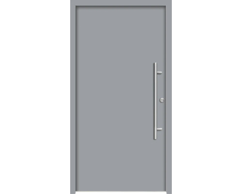Graue Haustür mit Edelstahlgriff