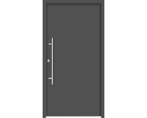 Graue Haustür mit Edelstahlgriff