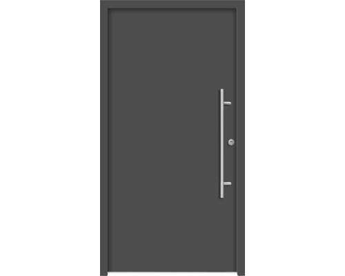 Graue Haustür mit einem Griff aus Metall