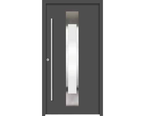 Graue Haustür mit Glaseinsatz und Stangengriff
