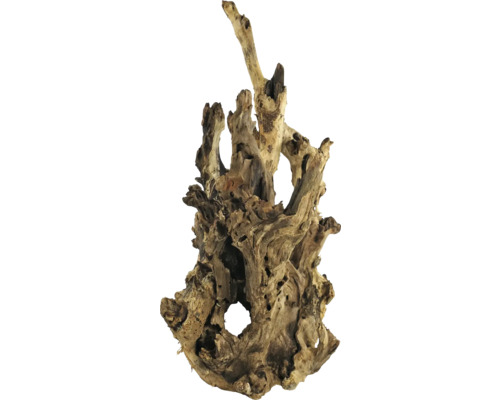 Wurzelholz zur Dekoration im Aquarium