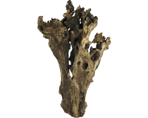 Wurzelholzdekoration für Aquarien