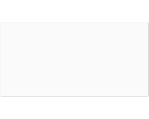 Feinsteinzeug Bodenfliese Blanco 60x120 cm weiß matt rektifiziert Leeres Bild.