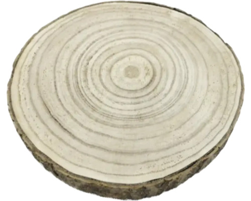 Holzscheibe mit Baumringen