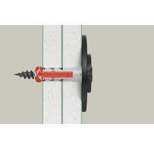 Fischer Dübel mit Schraube in einer Wand