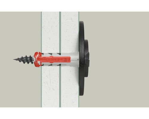 Fischer Dübel mit Schraube in einer Wand