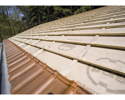 Dach mit Unterspannbahn und Dachziegeln