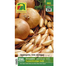 Austro Saat Steckzwiebeln, Birnenförmige Gelbe, 200 Gramm
