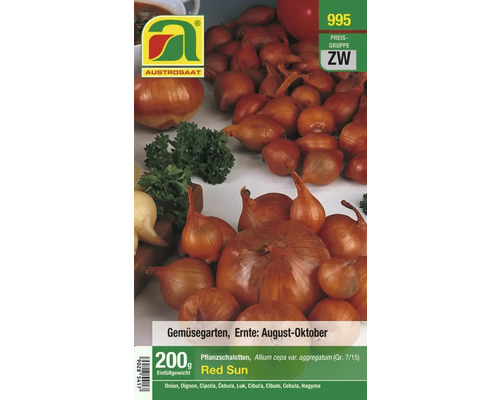 Austrosaat Red Sun Pflanzschalottenpackung für den Gemüsegarten