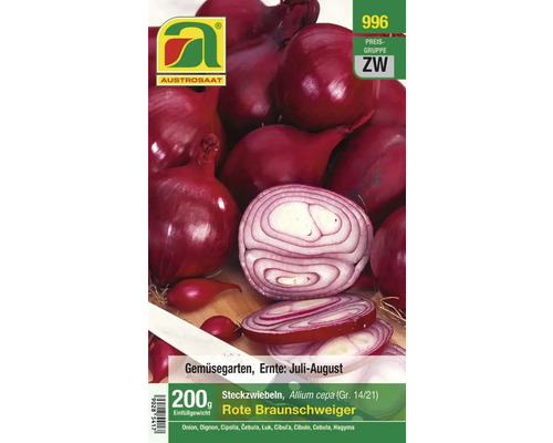 Rote Braunschweiger Steckzwiebeln, 200 Gramm, für den Gemüsegarten