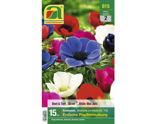 Packung Anemonen Blumensamen für Beet und Topf