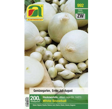 Austrosaat White Snowball Zwiebelstecklinge, 200 Gramm Packung