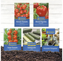 Abbildung verschiedener Kiepenkerl Saatgutpackungen: Cherrytomate, Blockpaprika, Salattomate, Salatgurke und Aussaat-Ratgeber